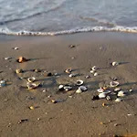 Homely Flat Few Minutes From The - Beahost Appartement Bibione