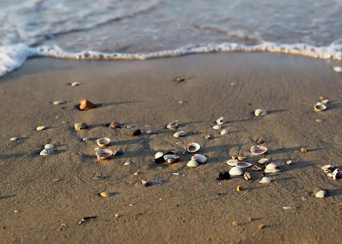 Homely Flat Few Minutes From The - Beahost Appartement Bibione