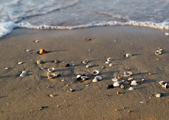 Homely Flat Few Minutes From The - Beahost * Bibione